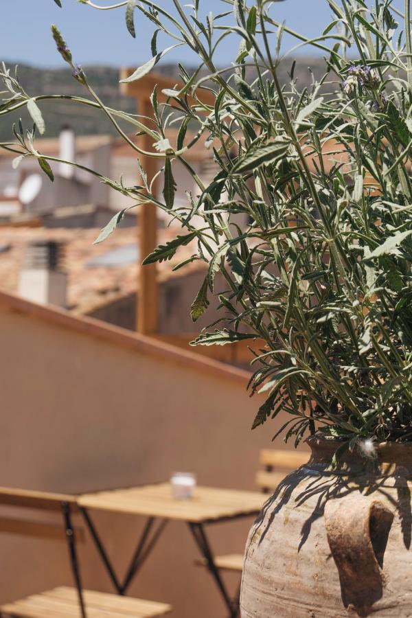 Apartaments La Rambla - Licorella - 4 Persones Cornudella de Montsant Εξωτερικό φωτογραφία